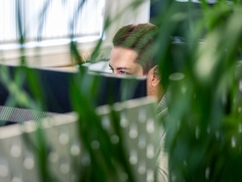 netpower IT utvikling programvare